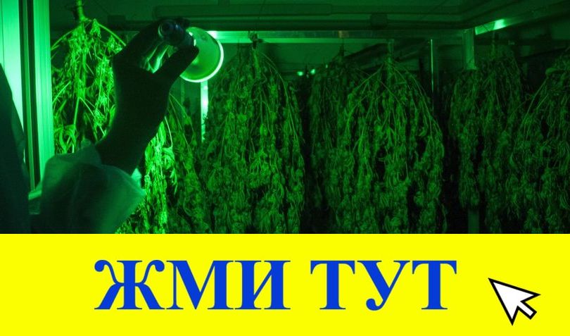 Купить наркотики в Тынде